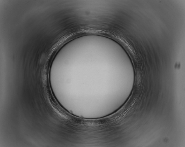 X0000100920533200806241115