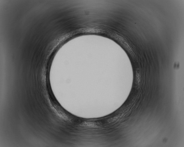 X0000100920534200806241115