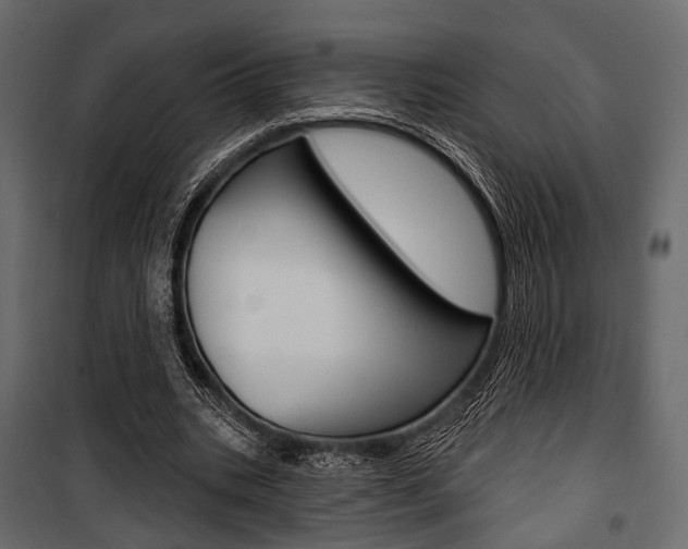 X0000100920535200806241115