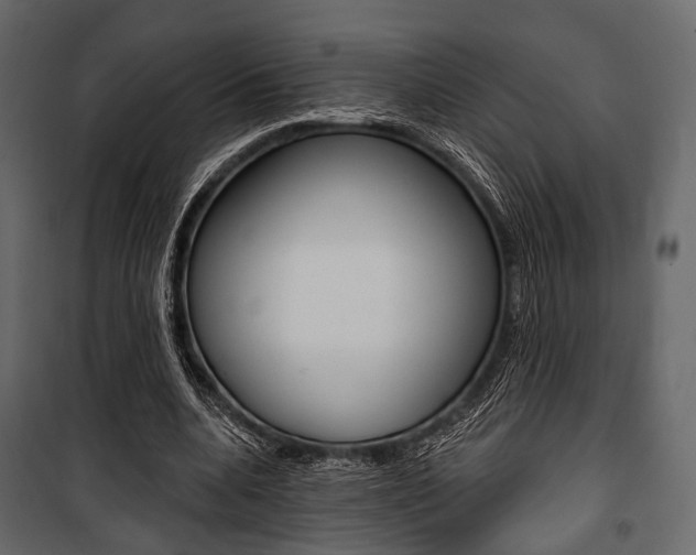 X0000100920536200806241115
