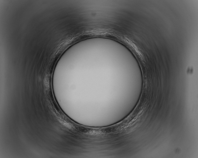 X0000100920537200806241115
