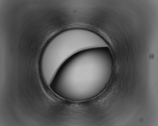X0000100920538200806241115