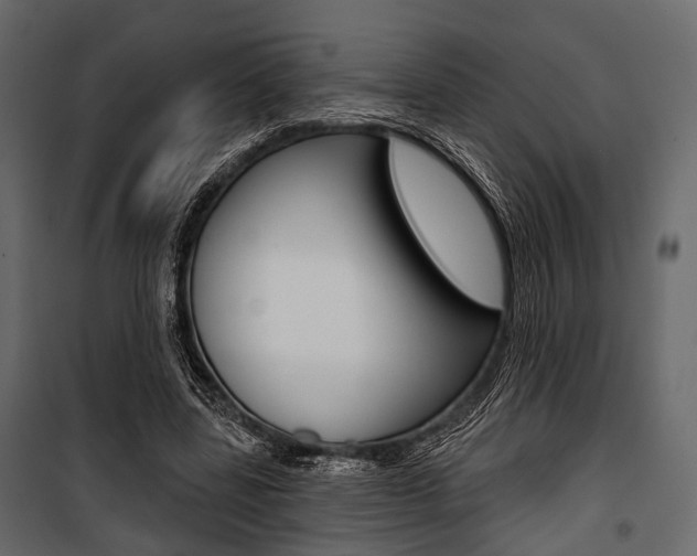 X0000100920539200806241115