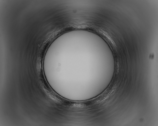 X0000100920541200806241115