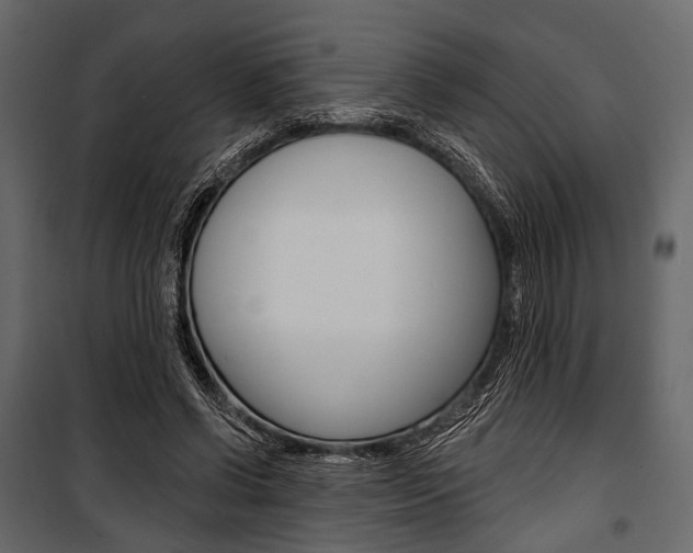 X0000100920542200806241115