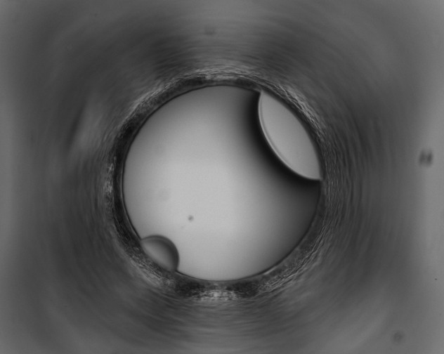 X0000100920543200806241115