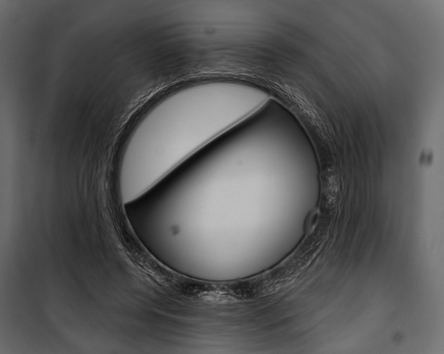 X0000100920544200806241116