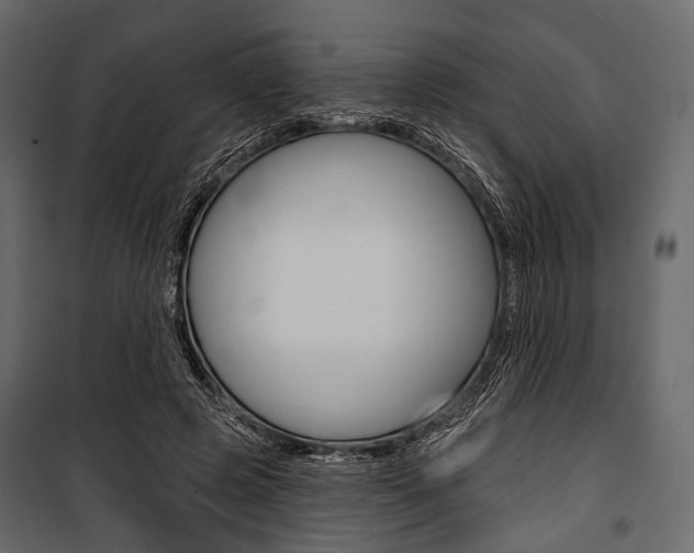 X0000100920545200806241116