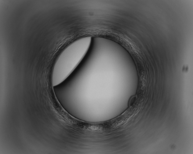 X0000100920546200806241116