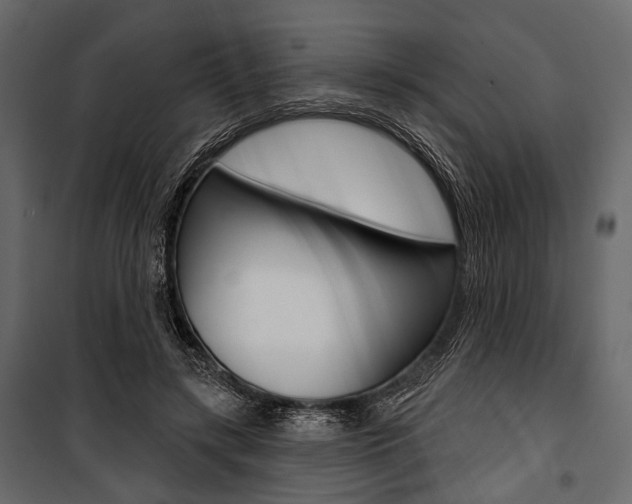 X0000100920547200806241116