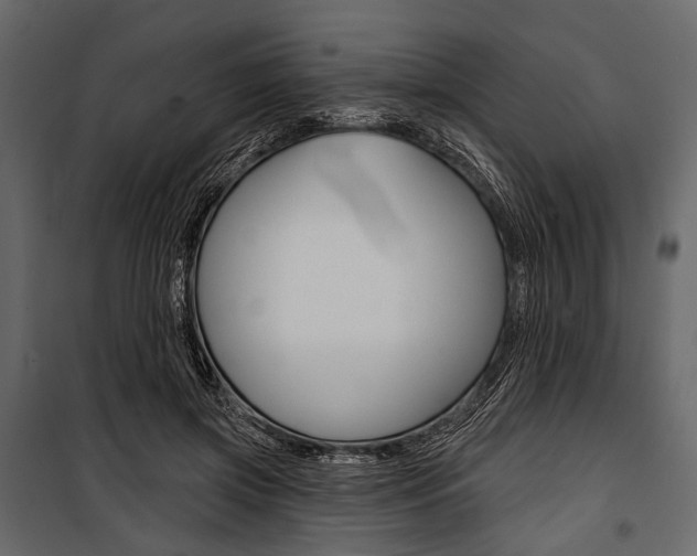 X0000100920549200806241116