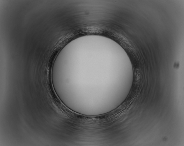X0000100920550200806241116