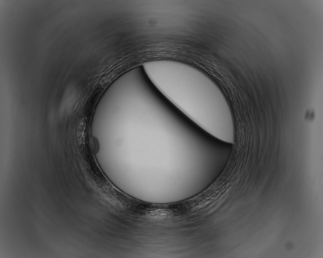 X0000100920551200806241116