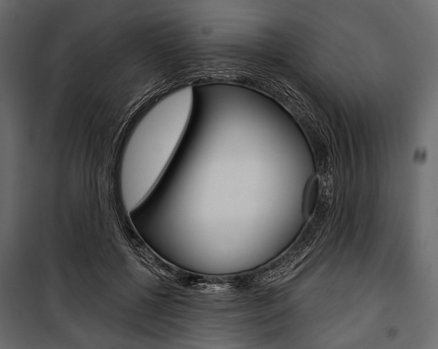 X0000100920552200806241116