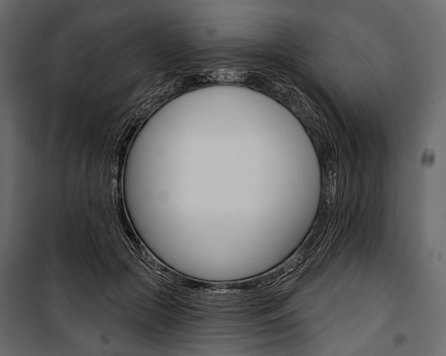 X0000100920553200806241116