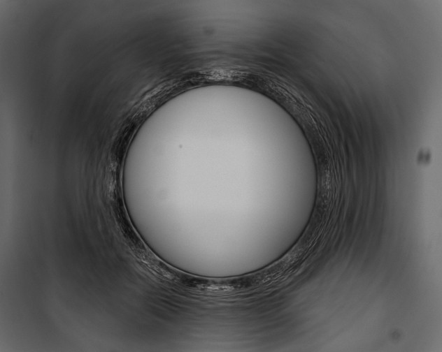X0000100920554200806241116