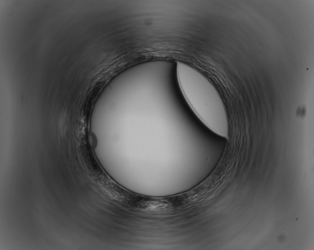 X0000100920555200806241116