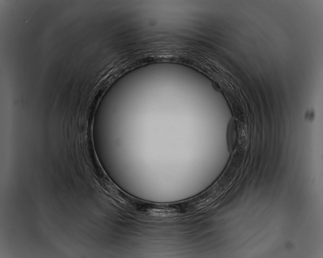 X0000100920556200806241116