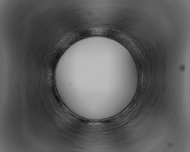 X0000100920557200806241116