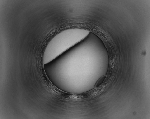 X0000100920558200806241116