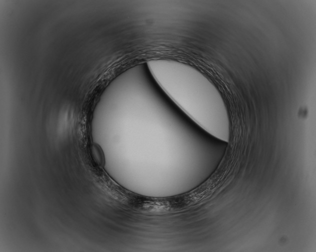 X0000100920559200806241116