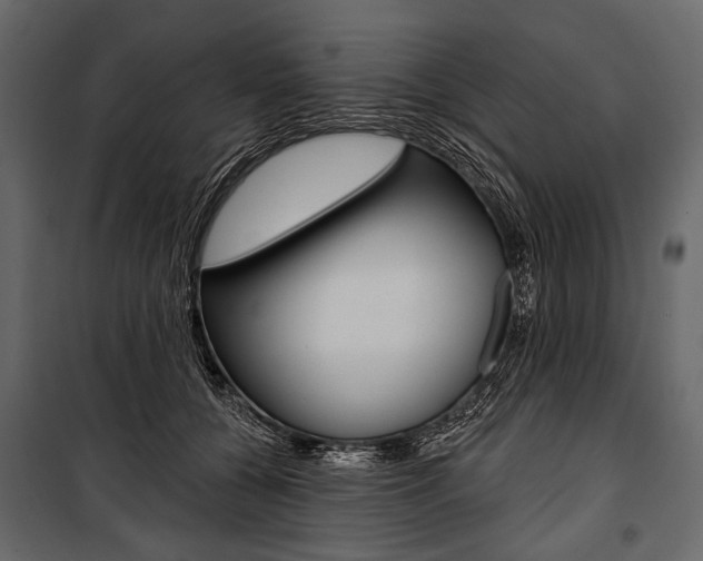 X0000100920560200806241116