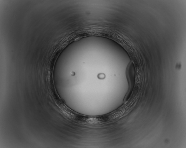 X0000100920562200806241116