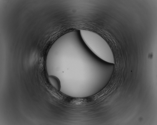 X0000100920563200806241116