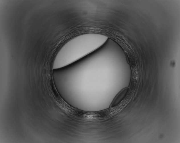 X0000100920564200806241116