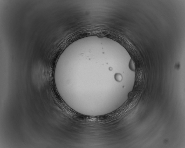 X0000100920565200806241116