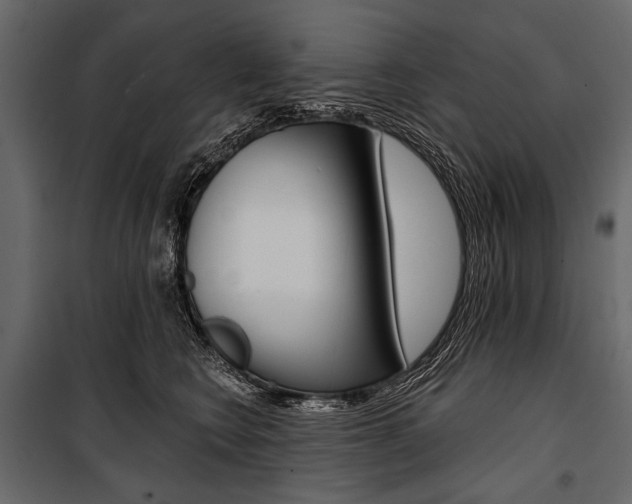 X0000100920566200806241116