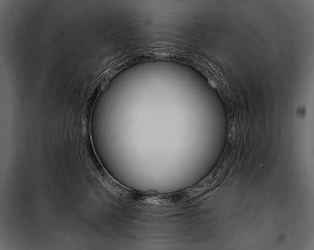 X0000100920568200806241116