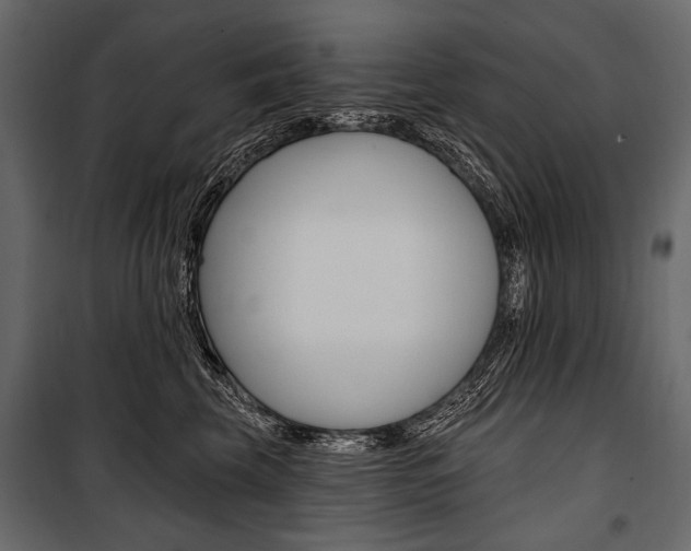 X0000100920569200806241116