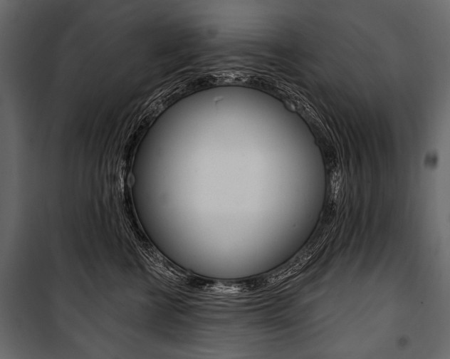 X0000100920570200806241116