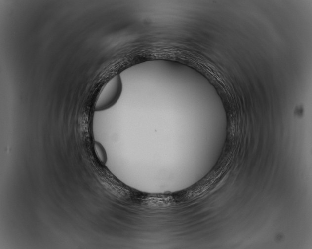 X0000100920571200806241116