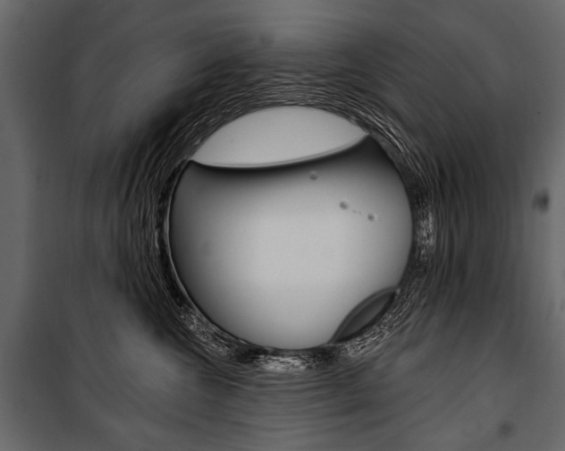 X0000100920572200806241116