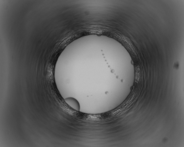 X0000100920573200806241116