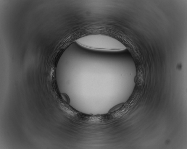 X0000100920574200806241116