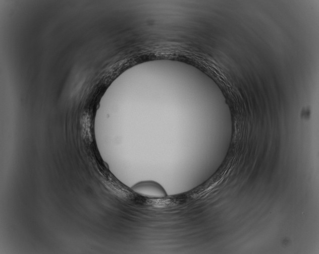 X0000100920575200806241116