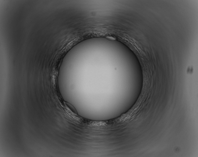 X0000100920576200806241116