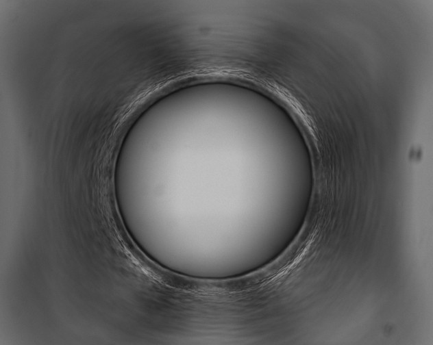 X0000100920577200806241115