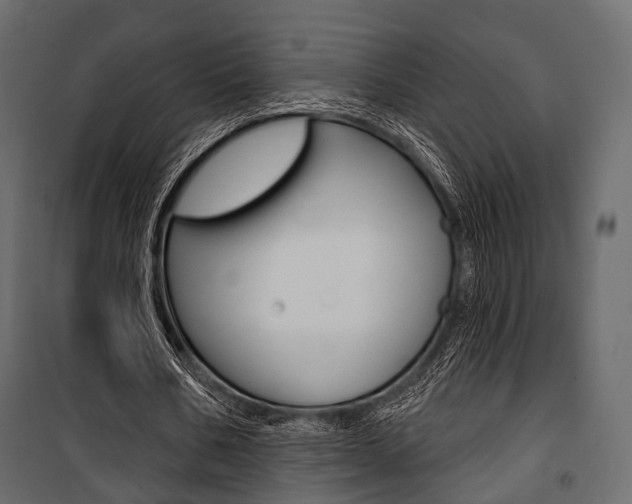 X0000100920578200806241115