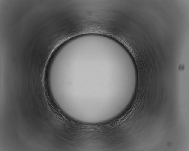 X0000100920579200806241115