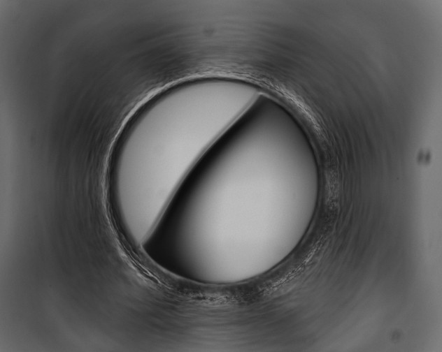 X0000100920580200806241115