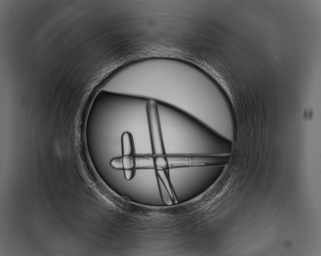 X0000100920581200806241115
