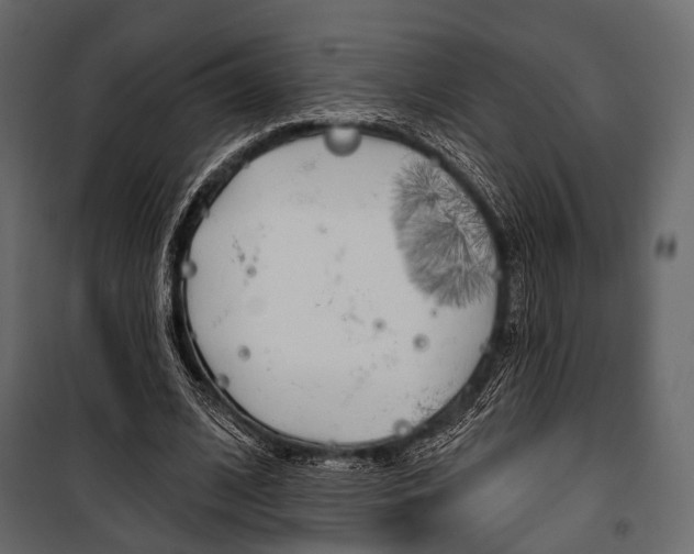 X0000100920584200806241115