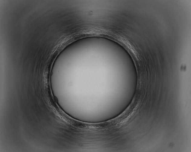 X0000100920585200806241115