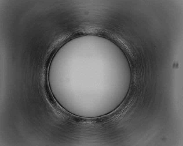 X0000100920586200806241115
