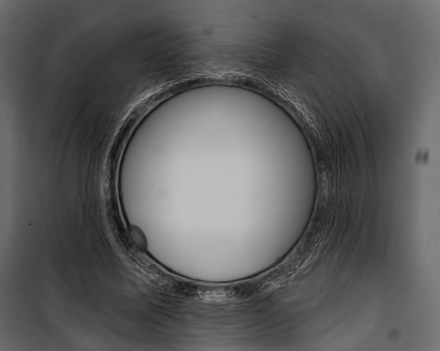 X0000100920587200806241115