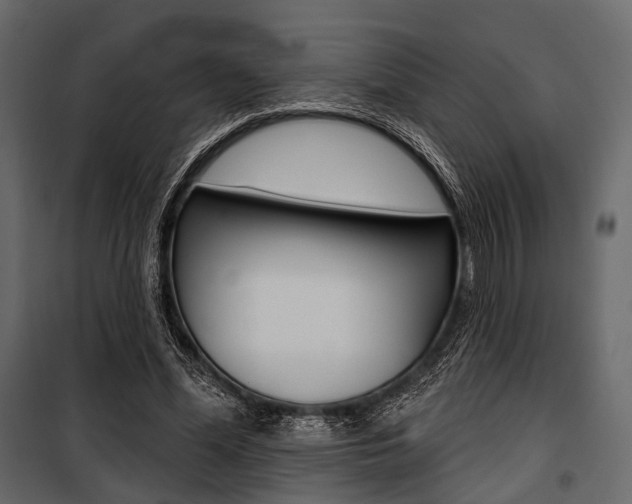 X0000100920588200806241115